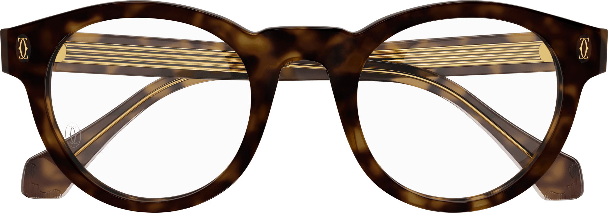 Color_CT0341O-005 - HAVANA - TRANSPARENT - AR (ANTI REFLECTIVE)