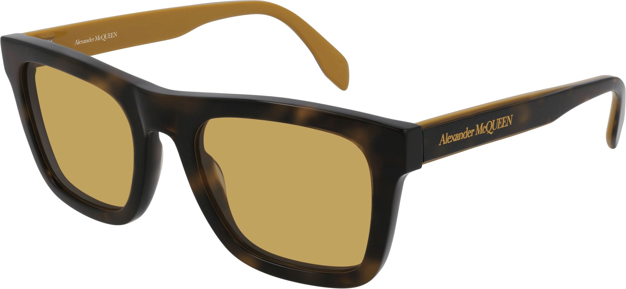 Color_Alexander McQueen AM0301S