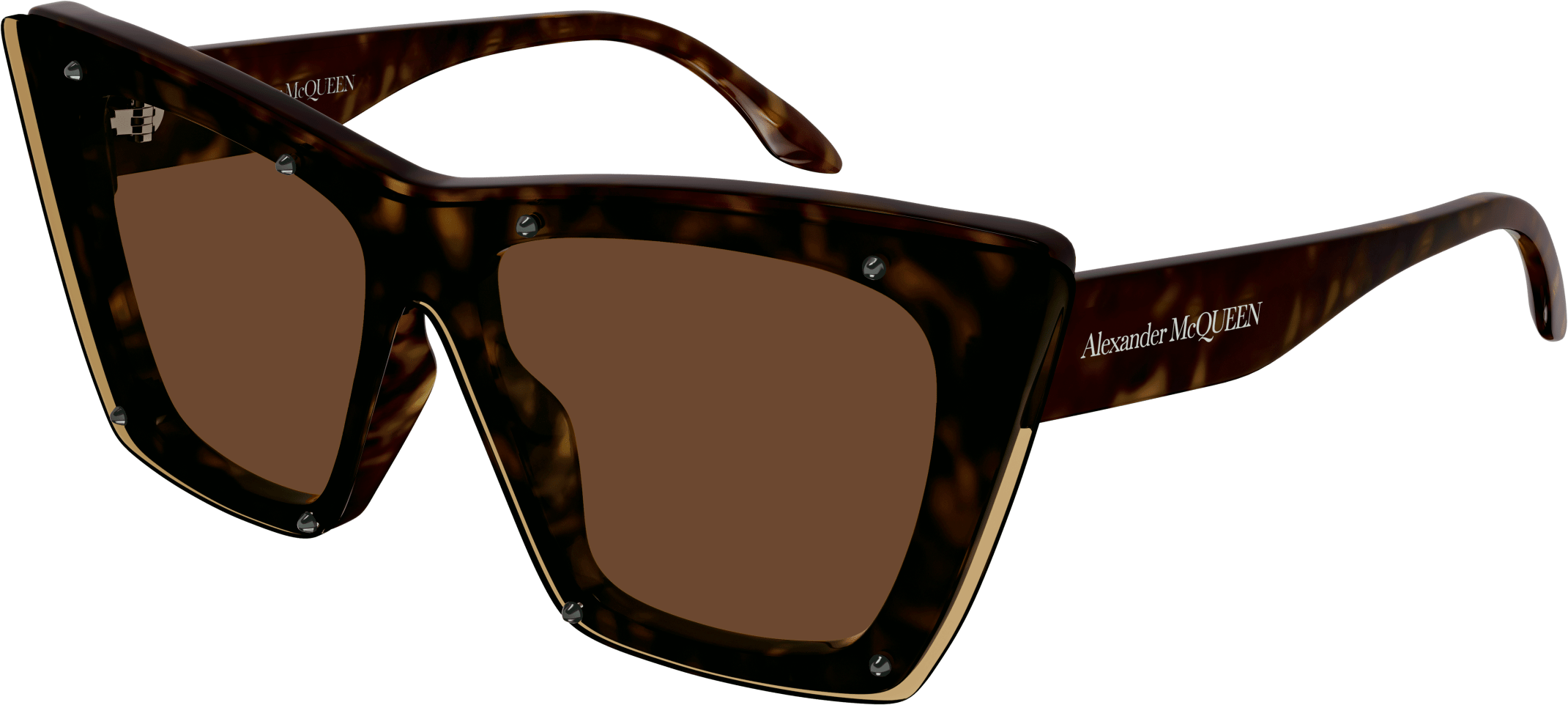 Color_Alexander McQueen AM0361S