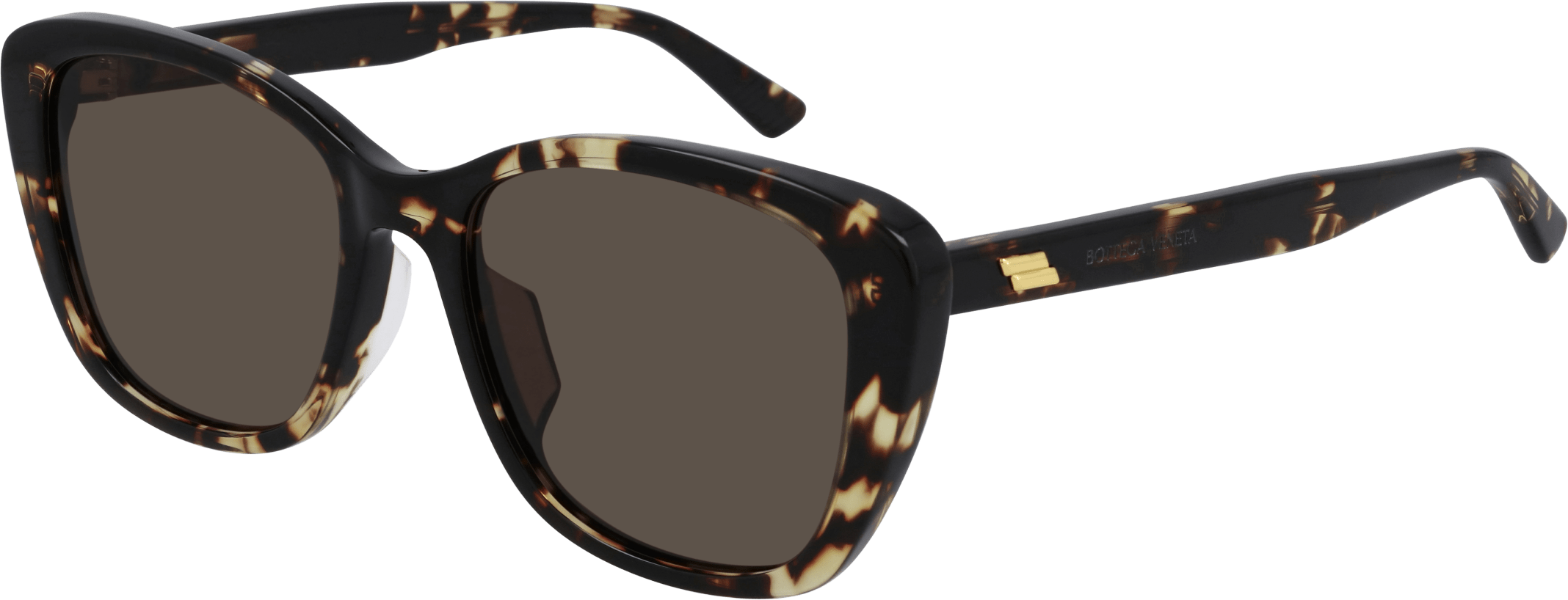 Color_BV1079SK-002 - HAVANA - BROWN - NONE