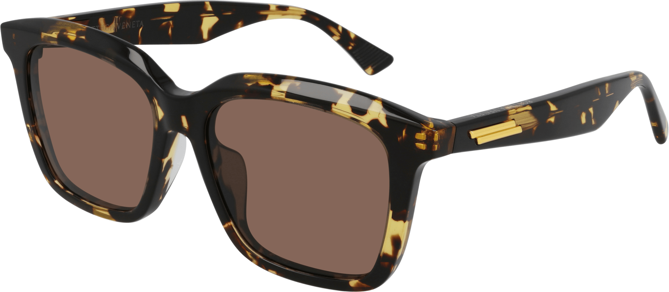 Color_BV1094SA-002 - HAVANA - BROWN