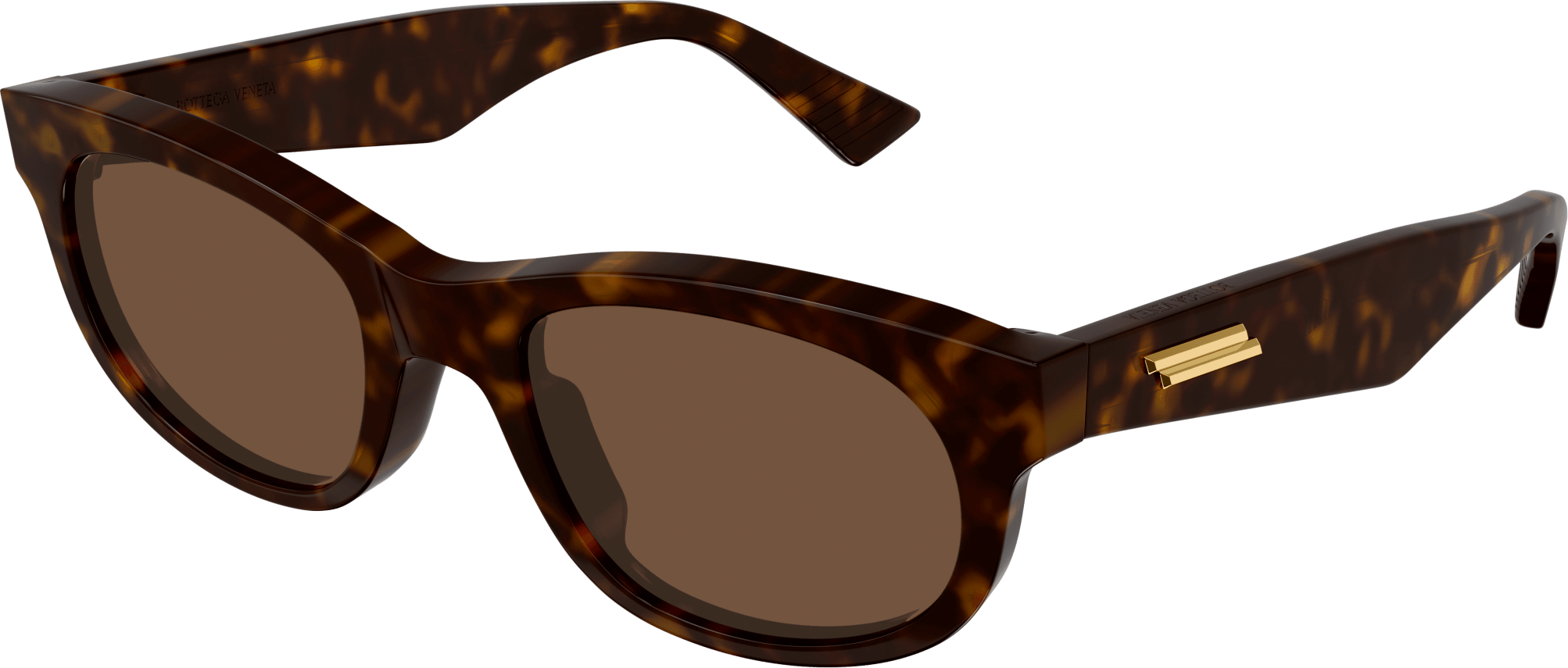 Color_BV1145S-002 - HAVANA - BROWN