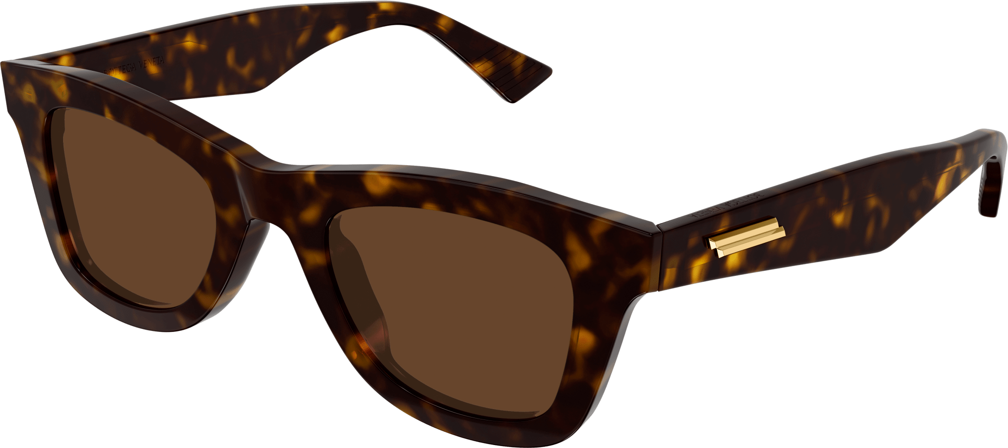Color_BV1147S-002 - HAVANA - BROWN