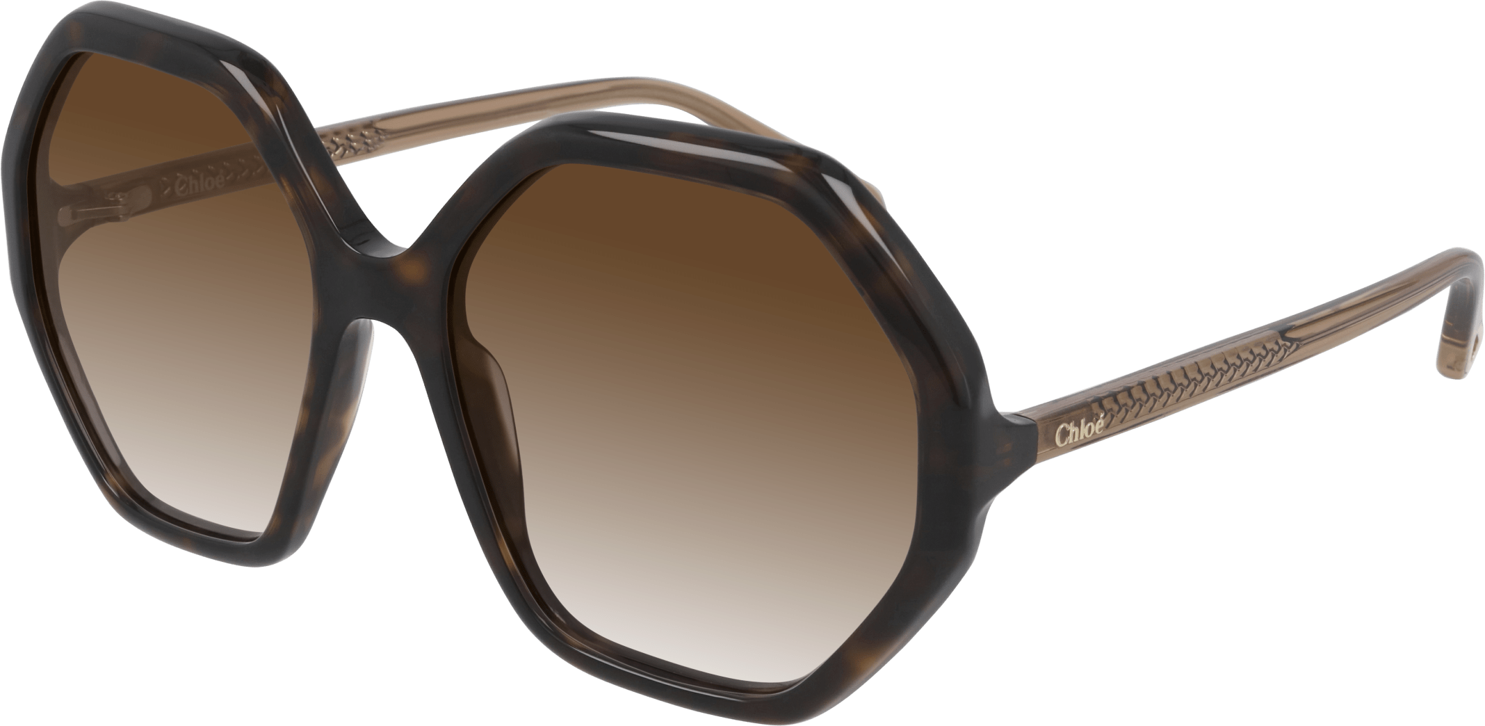 Color_CH0008S-004 - HAVANA - BROWN - GRADIENT