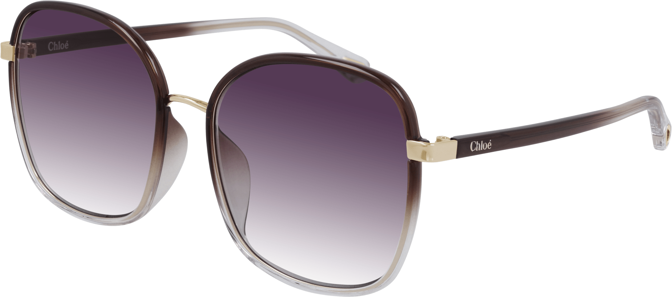 Color_CH0031SA-004 - BROWN - VIOLET - GRADIENT