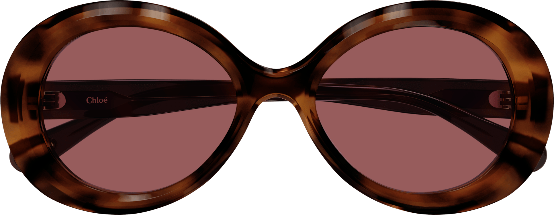 Color_CH0051S-005 - HAVANA - VIOLET - NONE