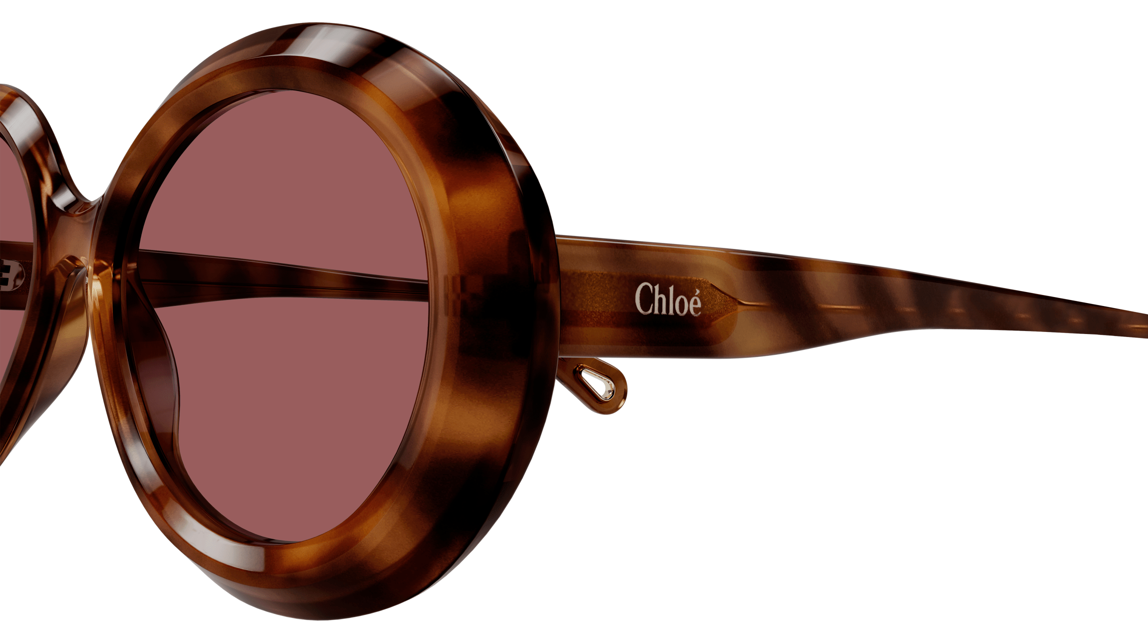 Color_CH0051S-005 - HAVANA - VIOLET - NONE