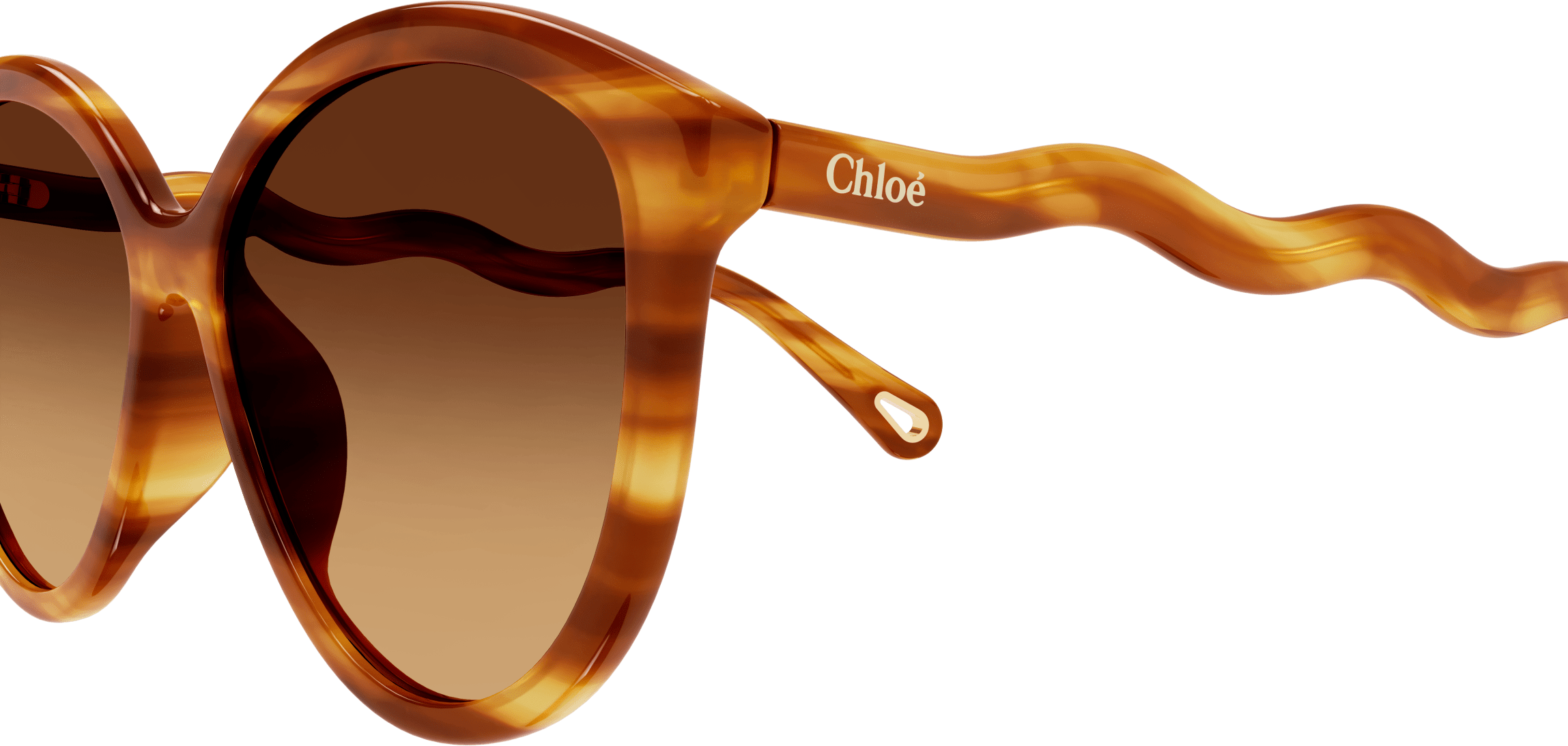 Color_CH0087SA-002 - HAVANA - BROWN - GRADIENT(DOUBLE)