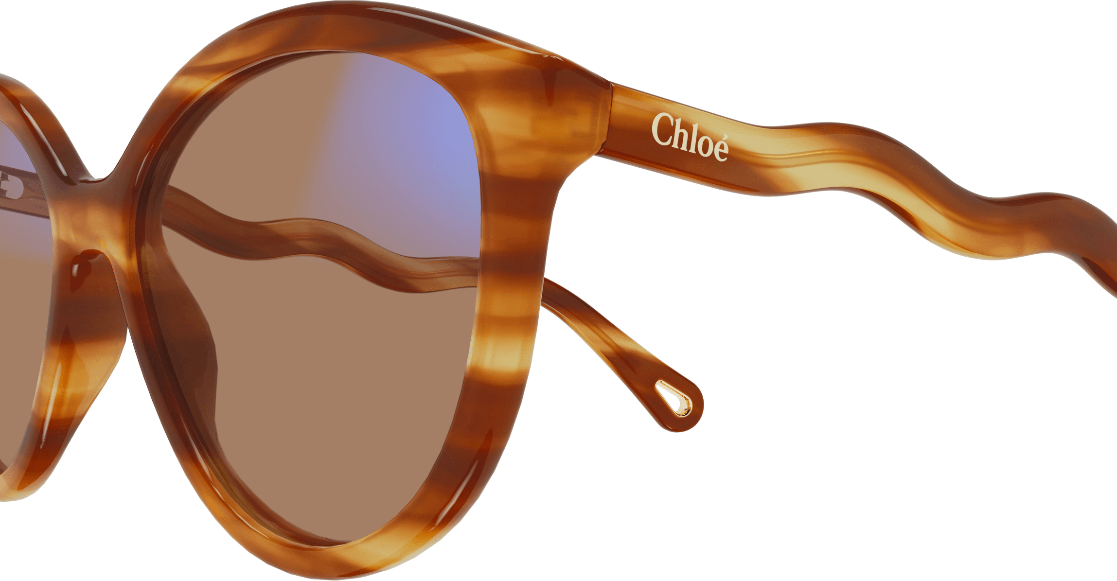 Color_CH0089S-001 - HAVANA - TRANSPARENT - PHOTOCROMATIC