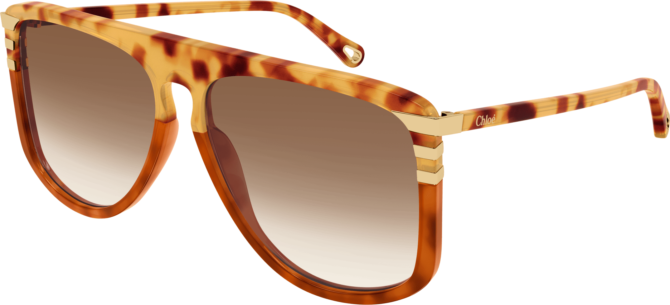 Color_CH0104S-001 - HAVANA - BROWN - GRADIENT