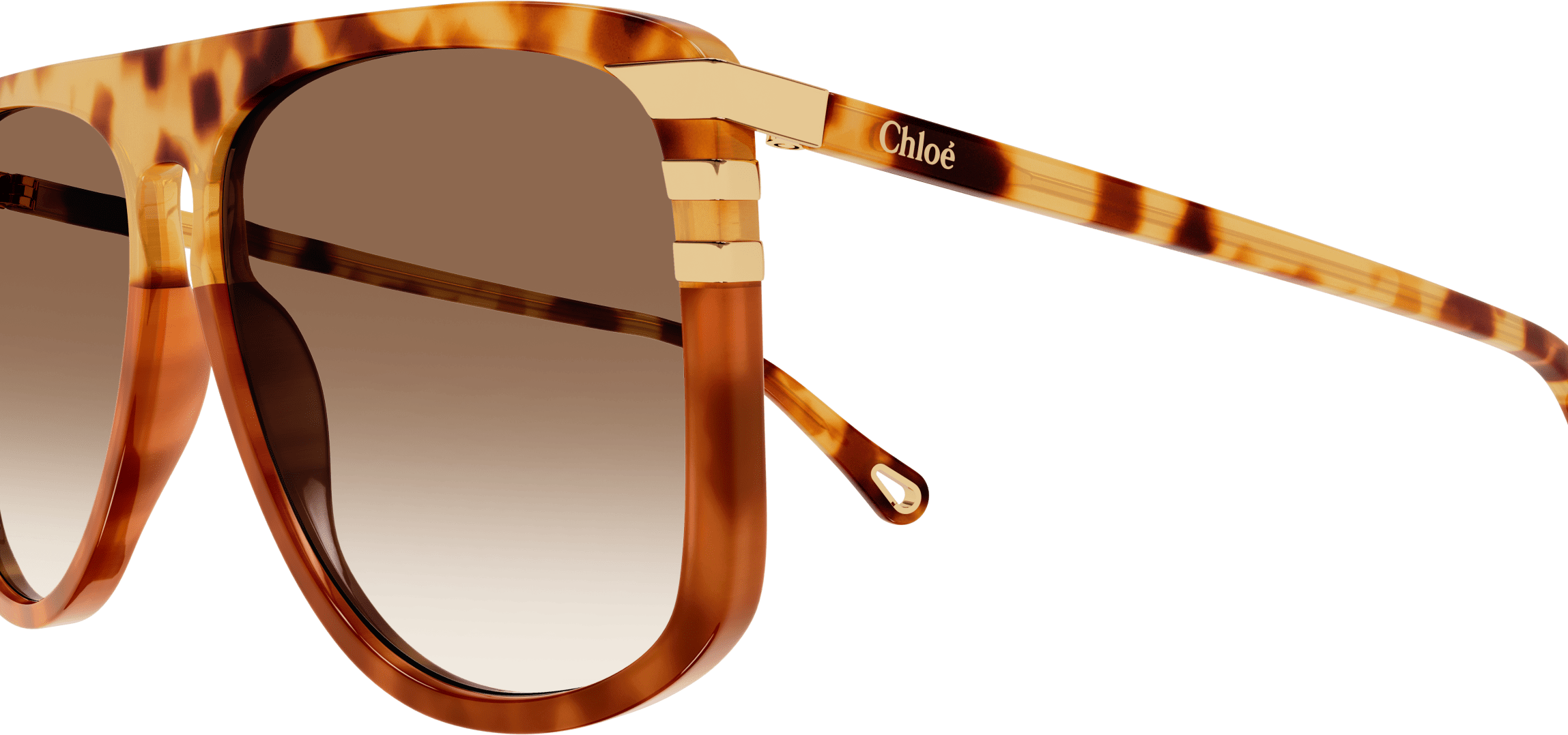 Color_CH0104S-001 - HAVANA - BROWN - GRADIENT