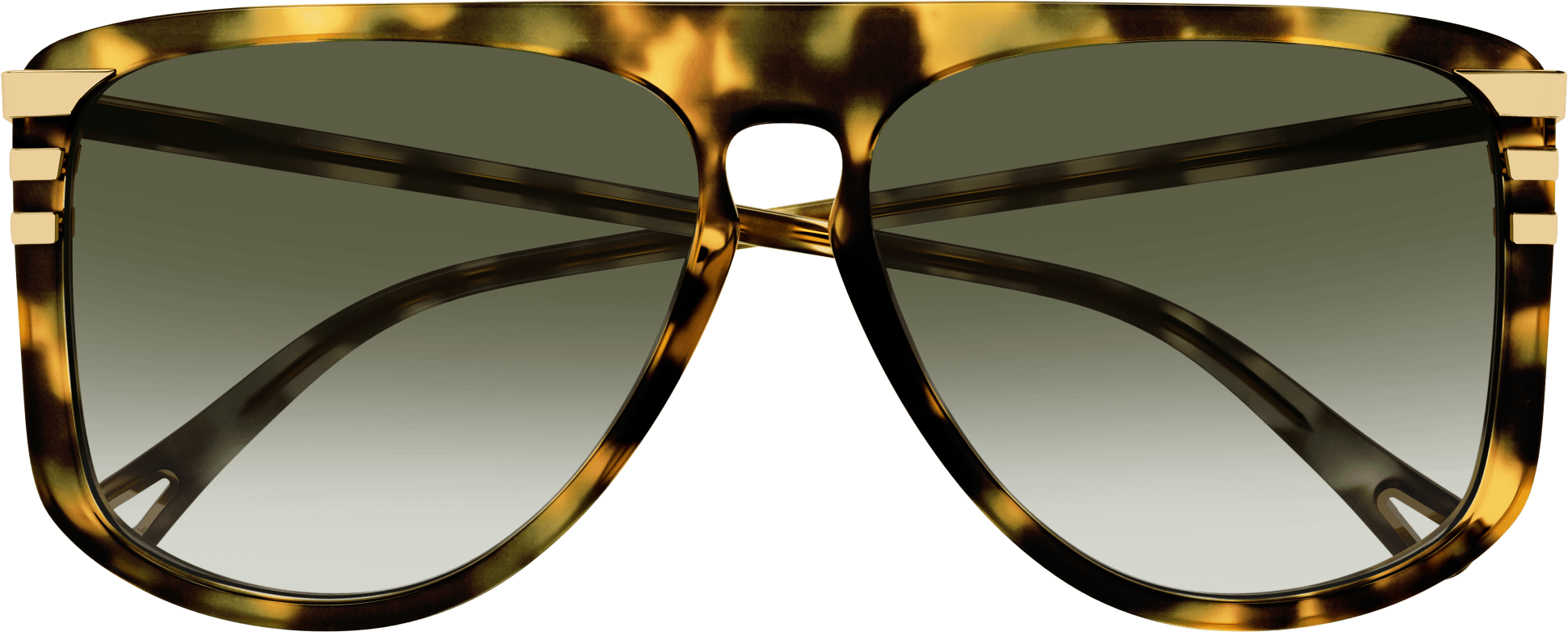 Color_CH0104S-003 - HAVANA - GREEN - GRADIENT