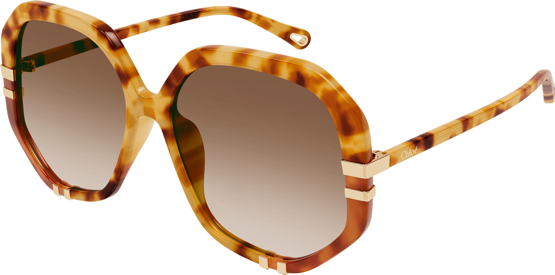 Color_CH0105S-001 - HAVANA - BROWN - GRADIENT