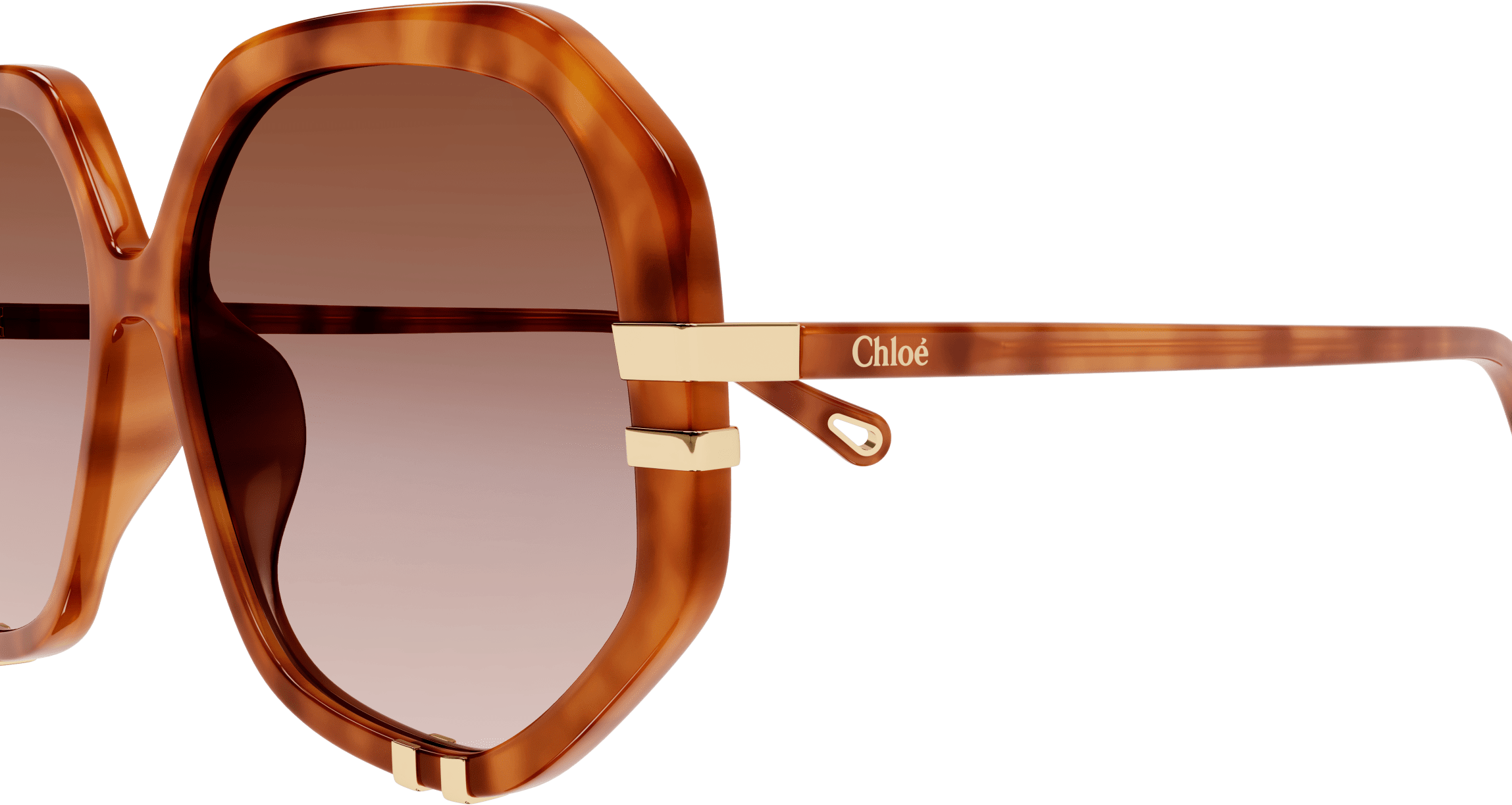 Color_CH0105S-003 - HAVANA - ORANGE - GRADIENT