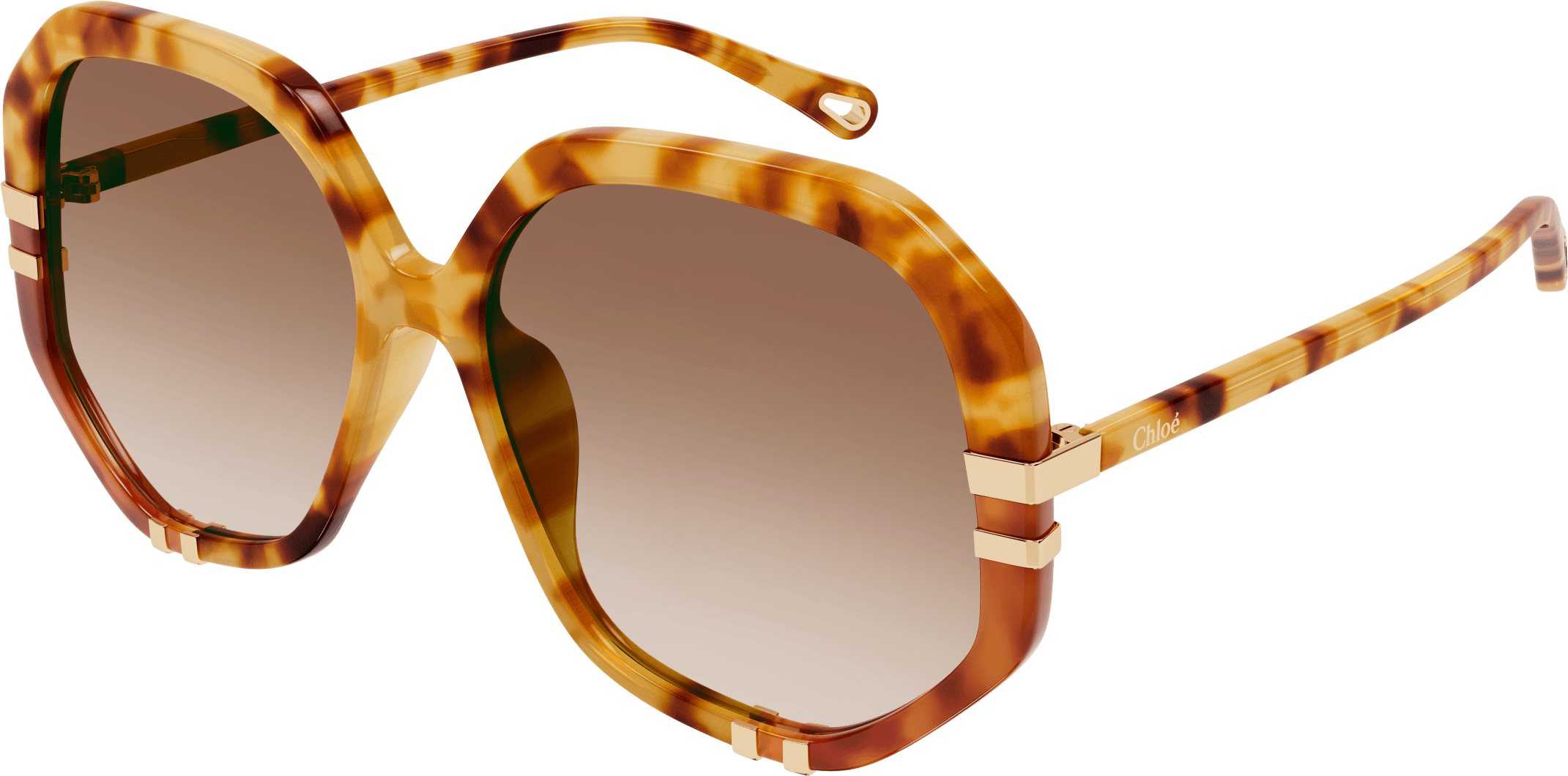 Color_CH0105S-005 - HAVANA - BROWN - GRADIENT
