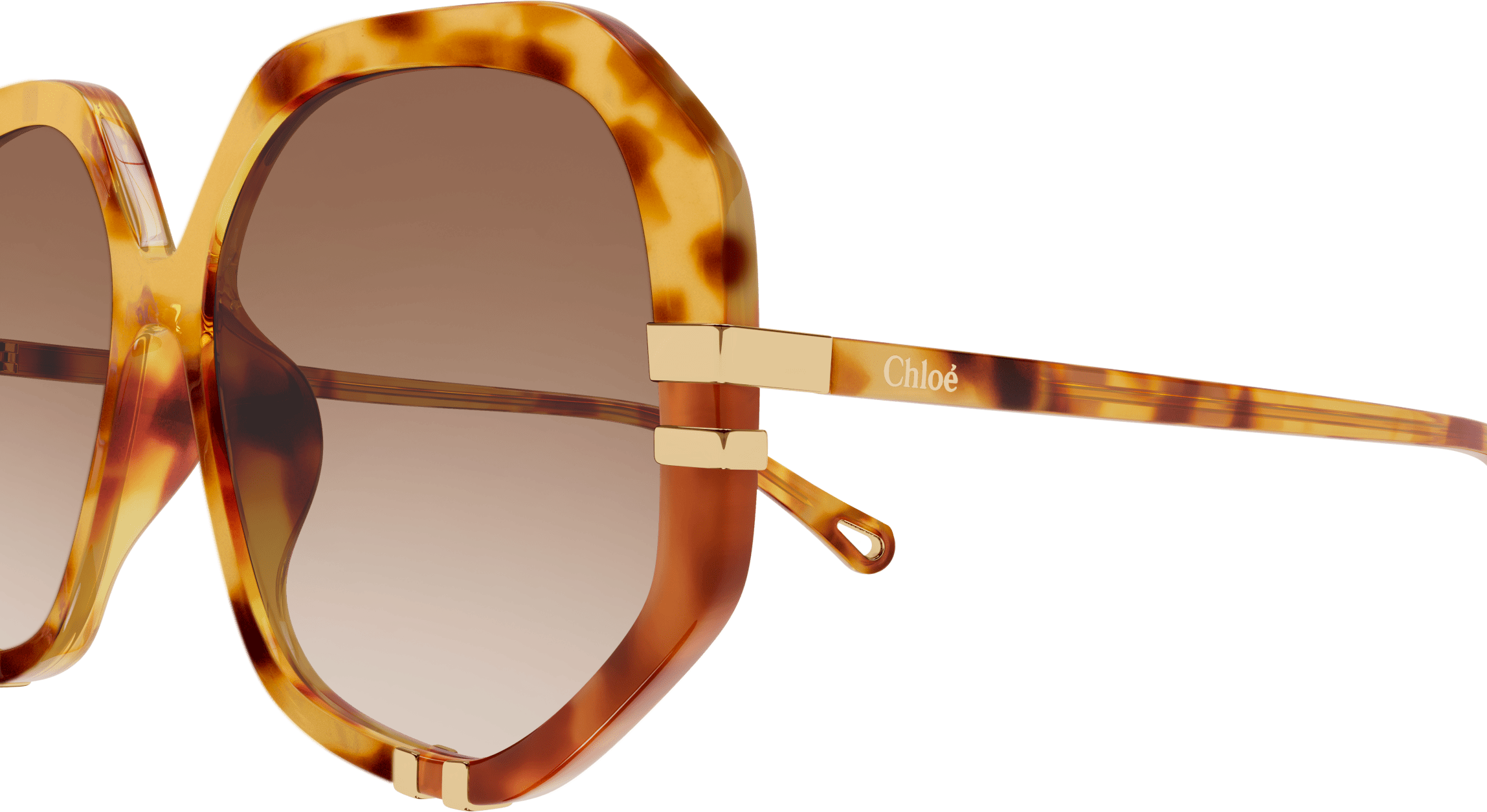 Color_CH0105S-005 - HAVANA - BROWN - GRADIENT