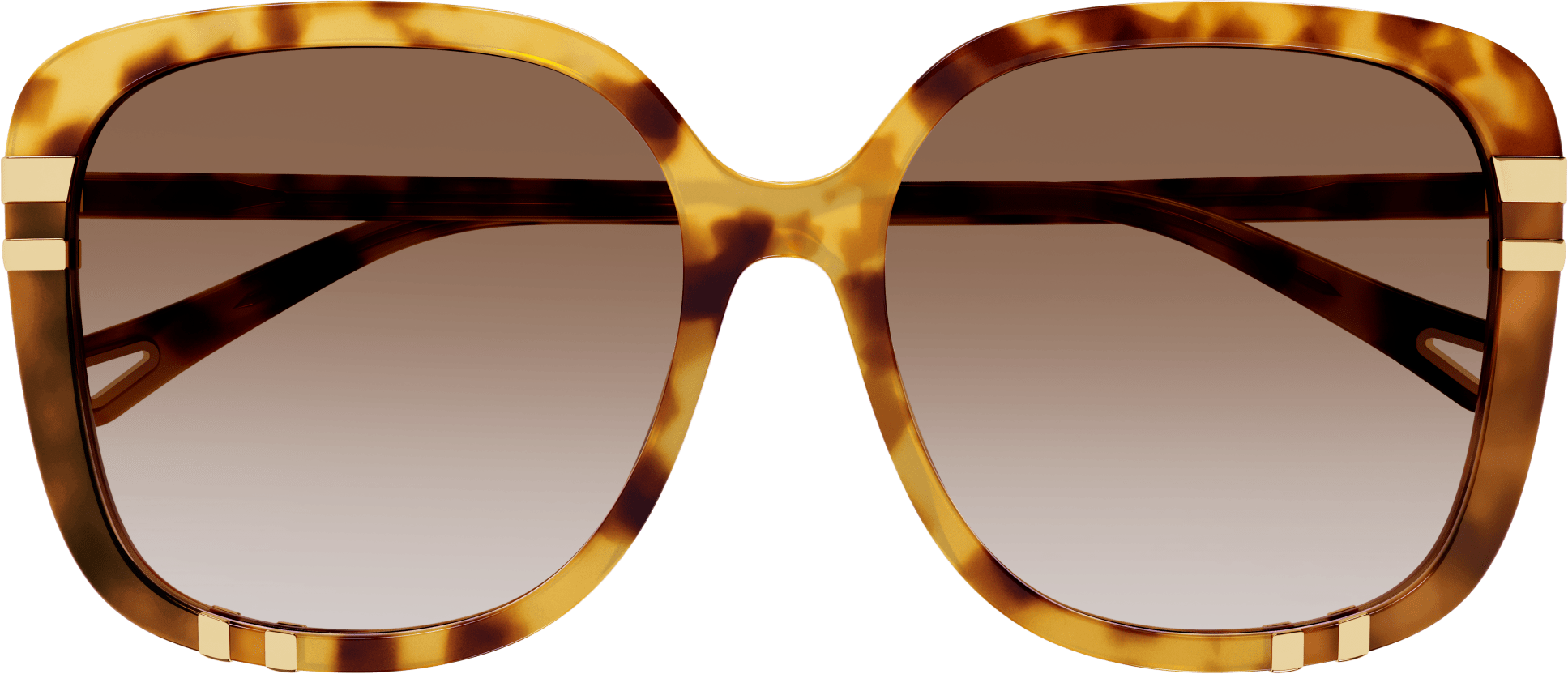 Color_CH0106SA-001 - HAVANA - BROWN - GRADIENT