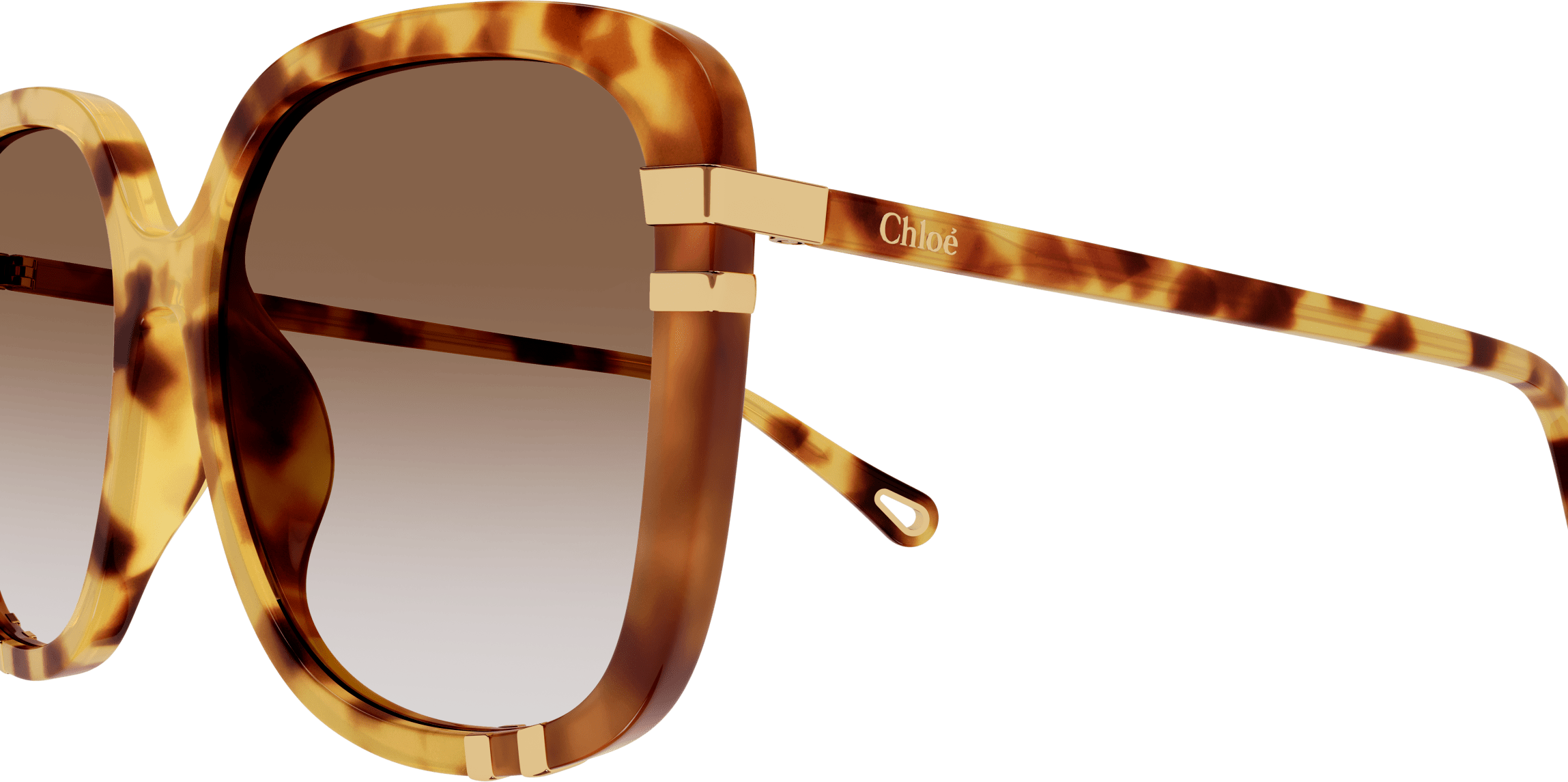 Color_CH0106SA-001 - HAVANA - BROWN - GRADIENT