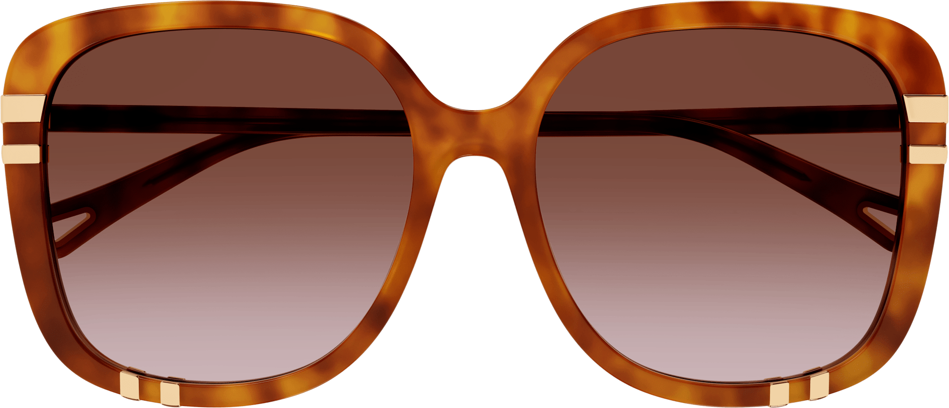Color_CH0106SA-003 - HAVANA - ORANGE - GRADIENT
