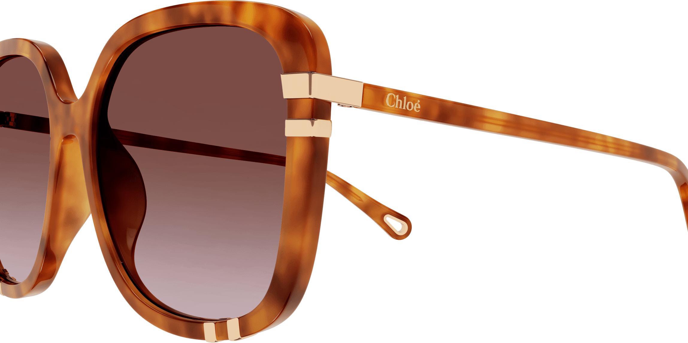 Color_CH0106SA-003 - HAVANA - ORANGE - GRADIENT