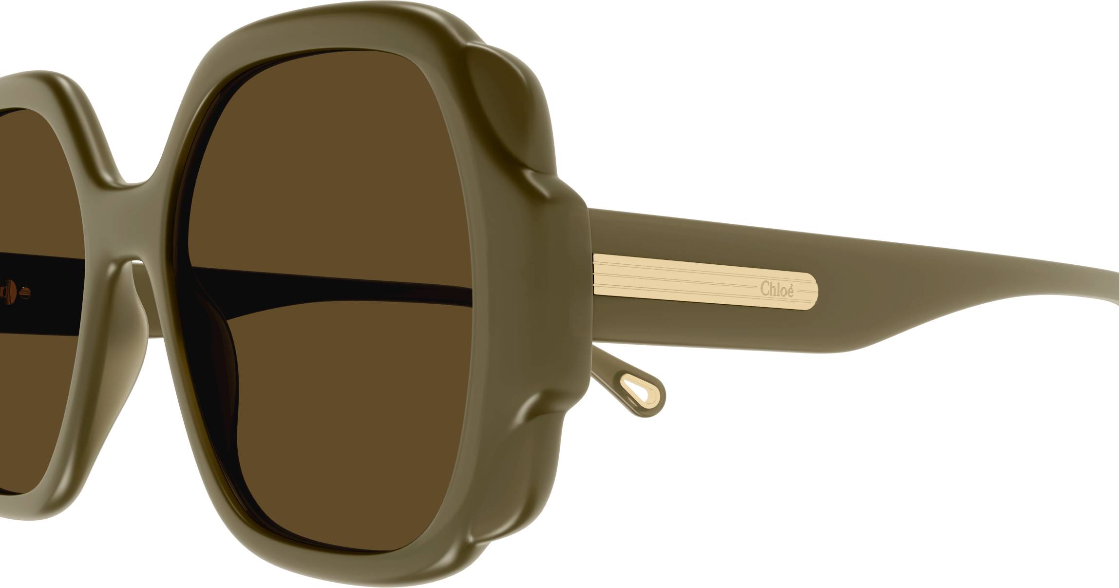 Color_CH0121S-004 - GREEN - BROWN - NONE