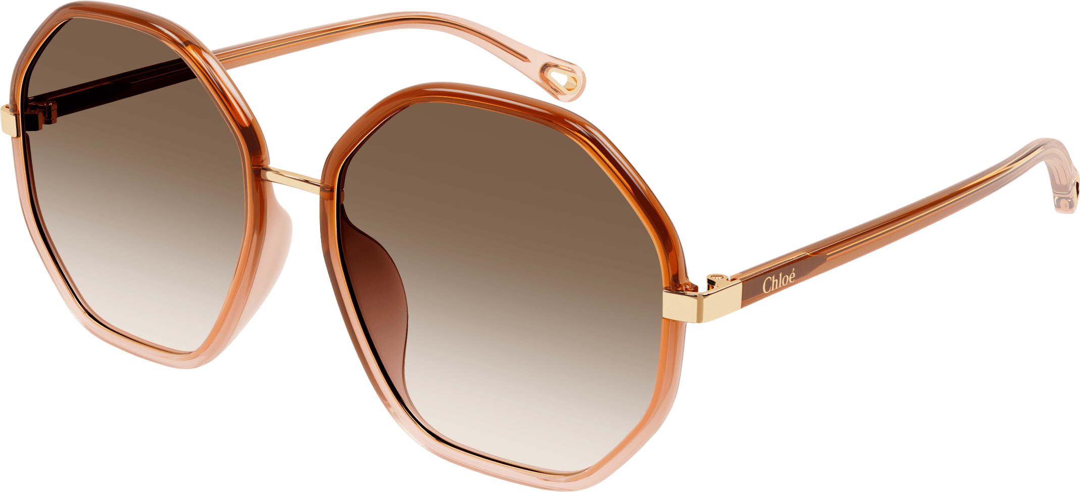 Color_CH0133SA-002 - BROWN - BROWN - GRADIENT