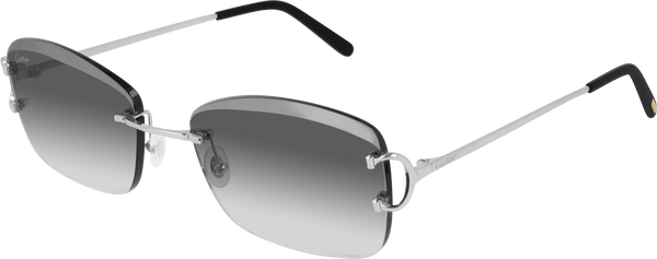 Color_CT0010RS-001 - SILVER - GREY - AR (ANTI REFLECTIVE)