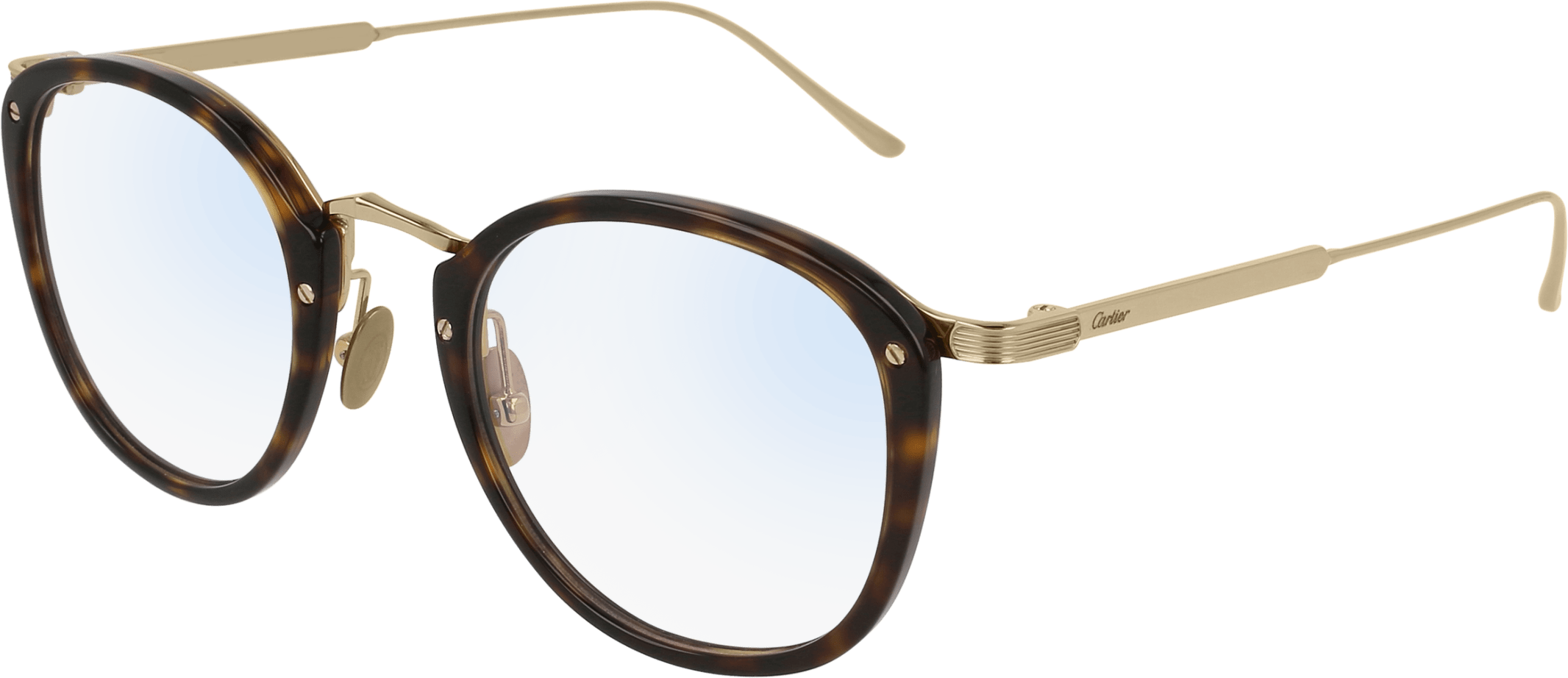 Color_CT0020O-005 - HAVANA - TRANSPARENT - AR (ANTI REFLECTIVE)