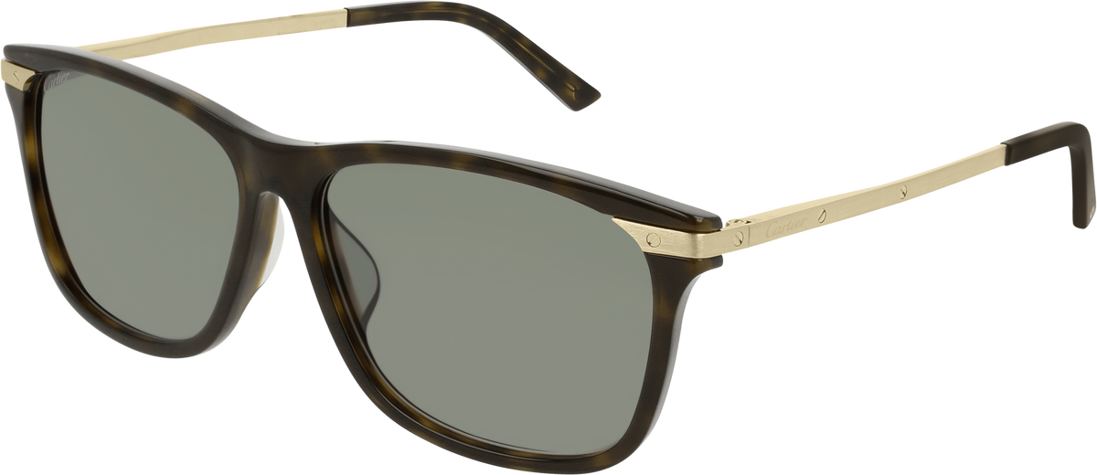 Cartier Santos CT0104SA Sunglasses OnlyLens