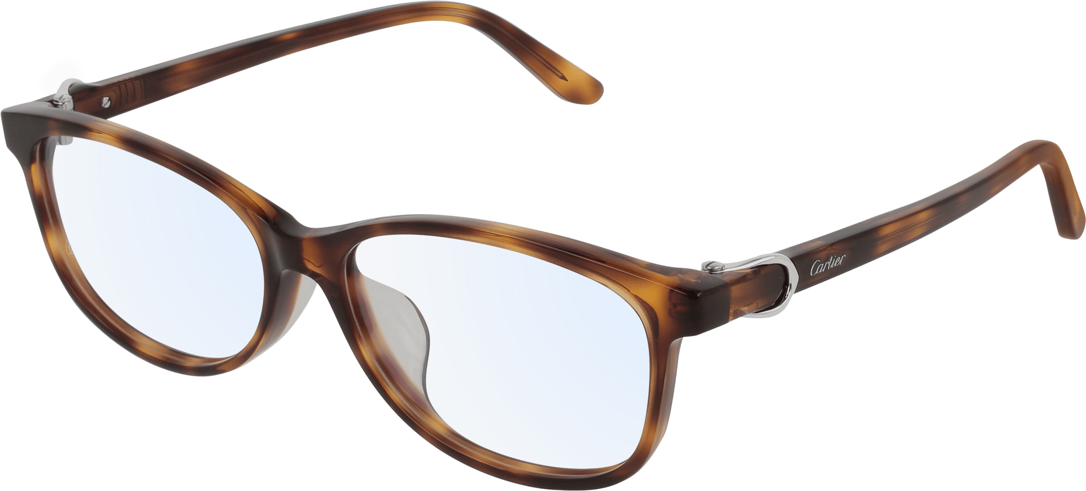 Color_CT0128OJ-002 - HAVANA - TRANSPARENT - AR (ANTI REFLECTIVE)