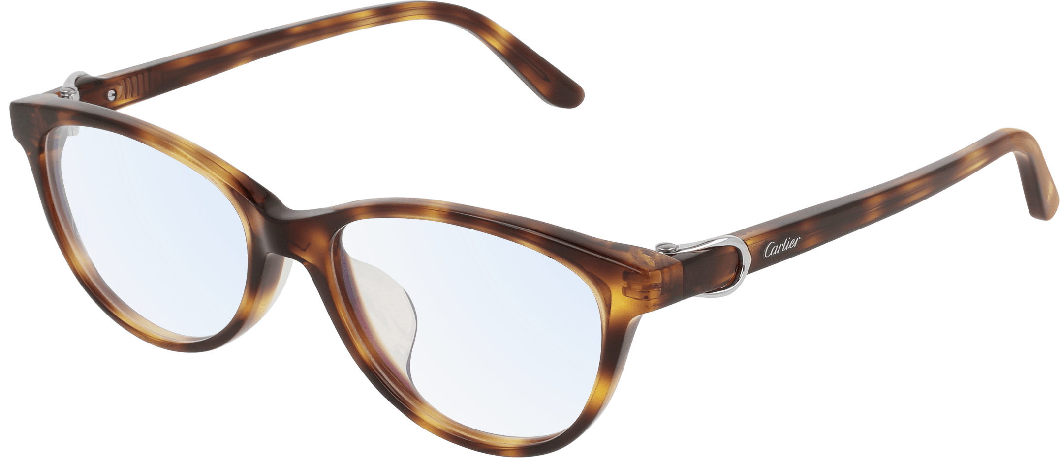 Color_CT0135OJ-002 - HAVANA - TRANSPARENT - AR (ANTI REFLECTIVE)