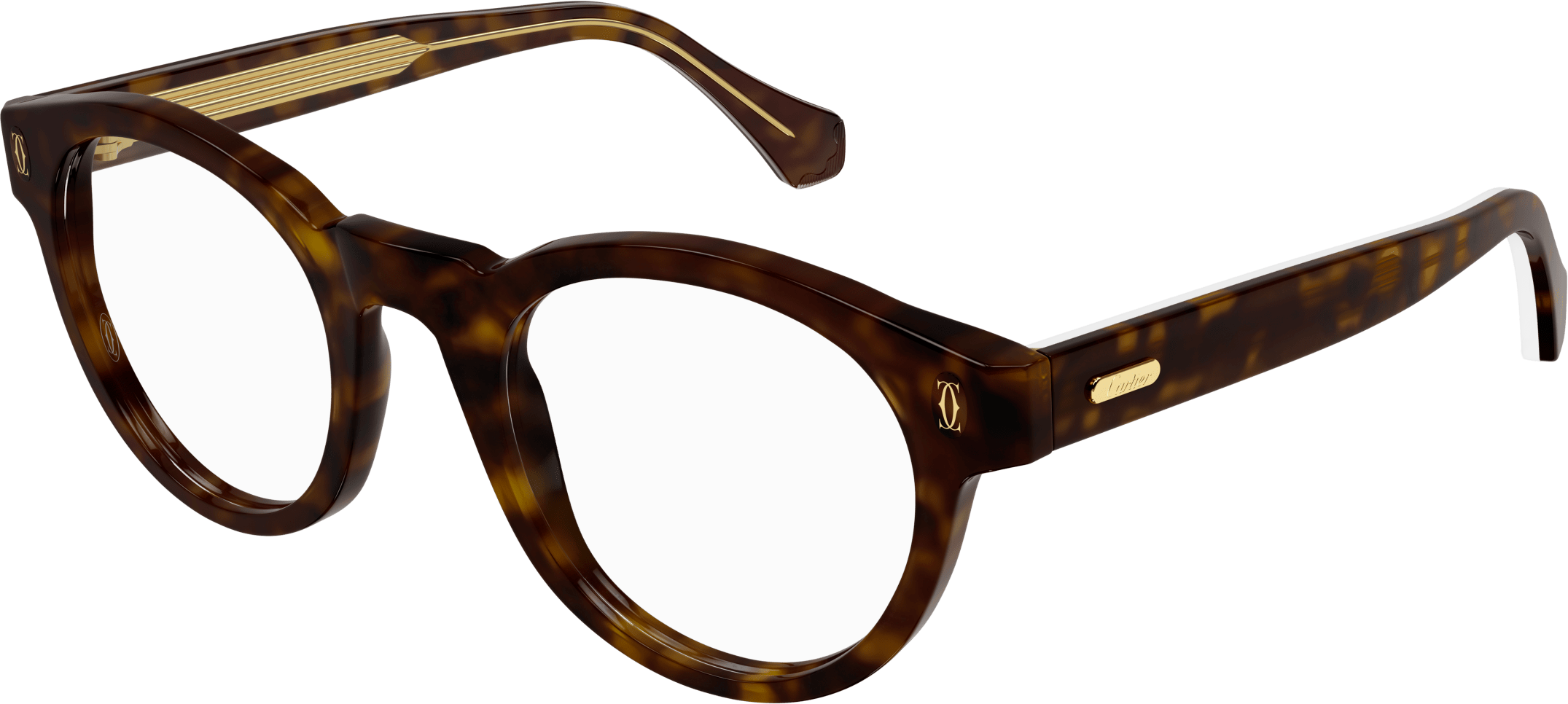 Color_CT0341O-005 - HAVANA - TRANSPARENT - AR (ANTI REFLECTIVE)