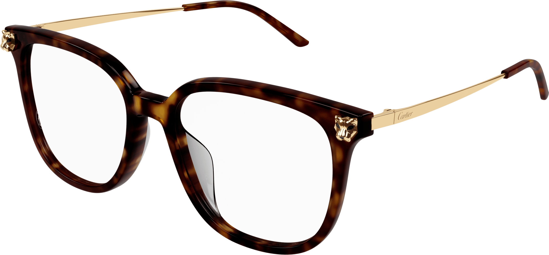 Color_CT0346O-002 - HAVANA - TRANSPARENT - AR (ANTI REFLECTIVE)