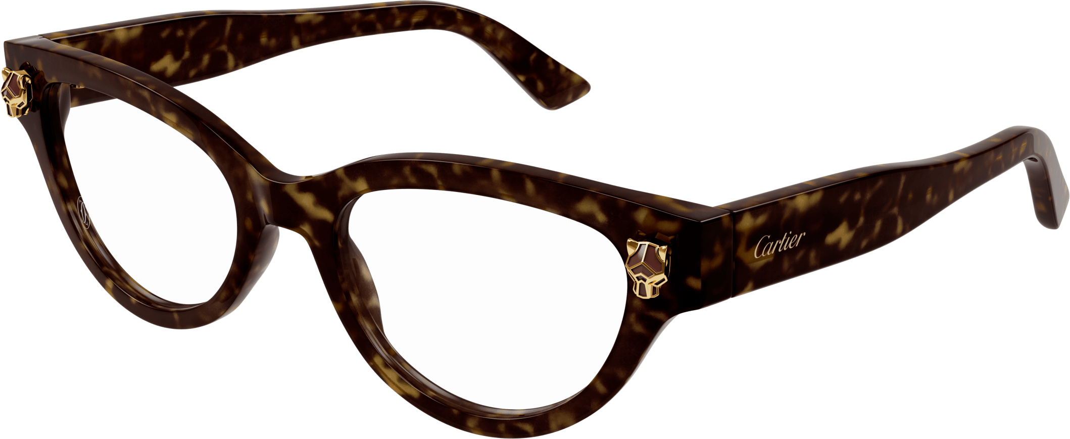 Color_CT0372O-002 - HAVANA - TRANSPARENT - AR (ANTI REFLECTIVE)