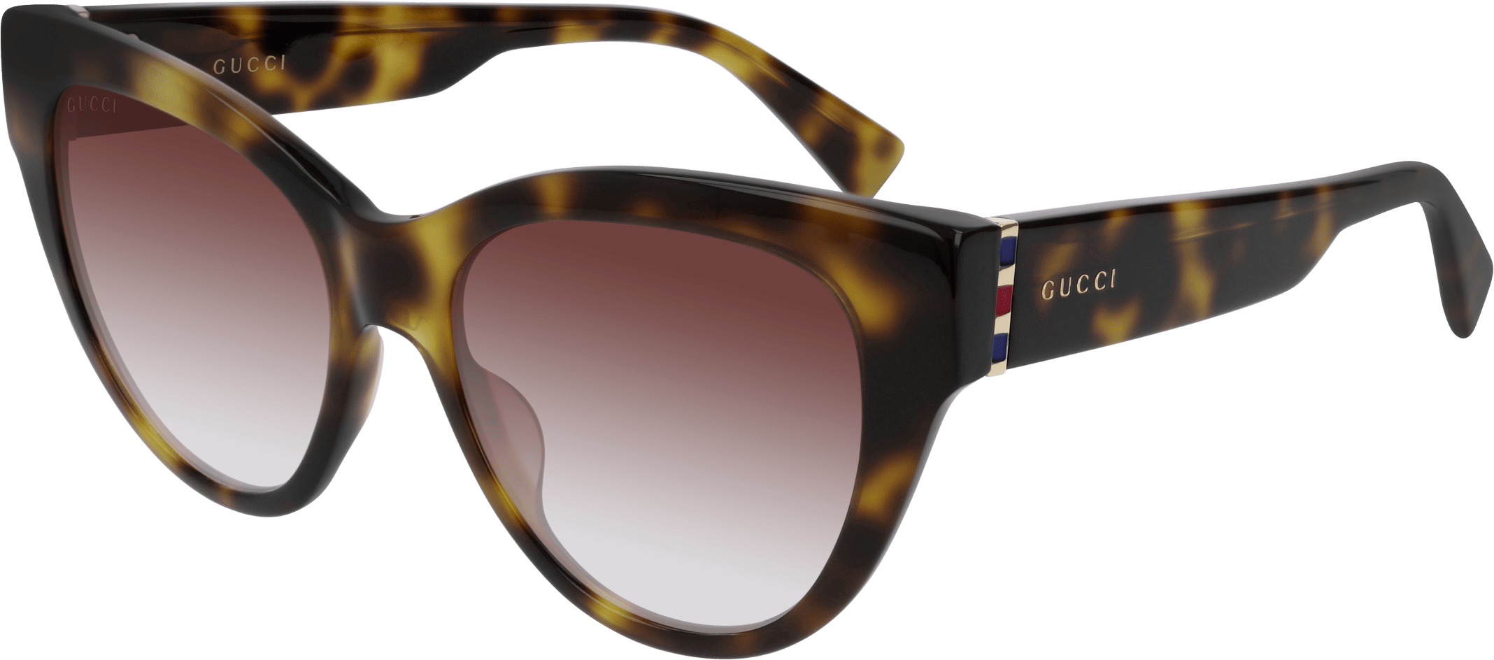 Color_Gucci GG0460S