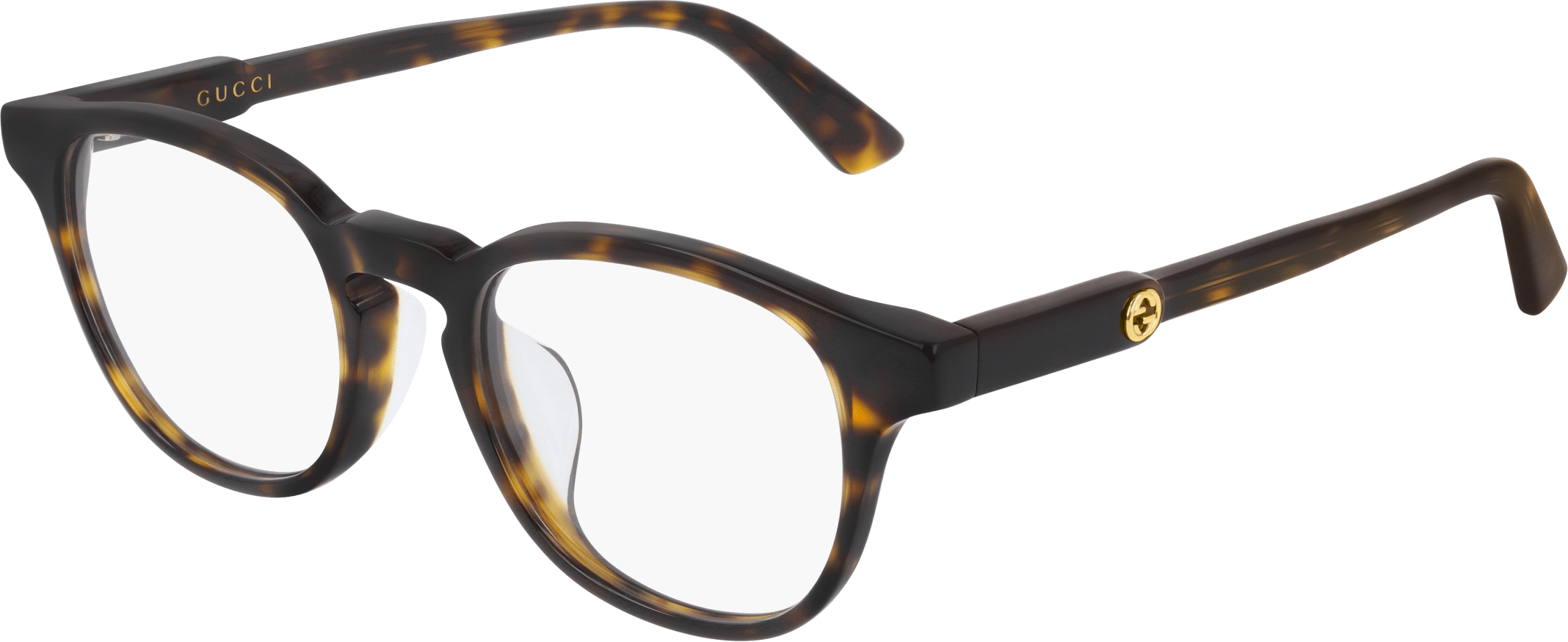 Color_GG0556OJ-002 - HAVANA - TRANSPARENT