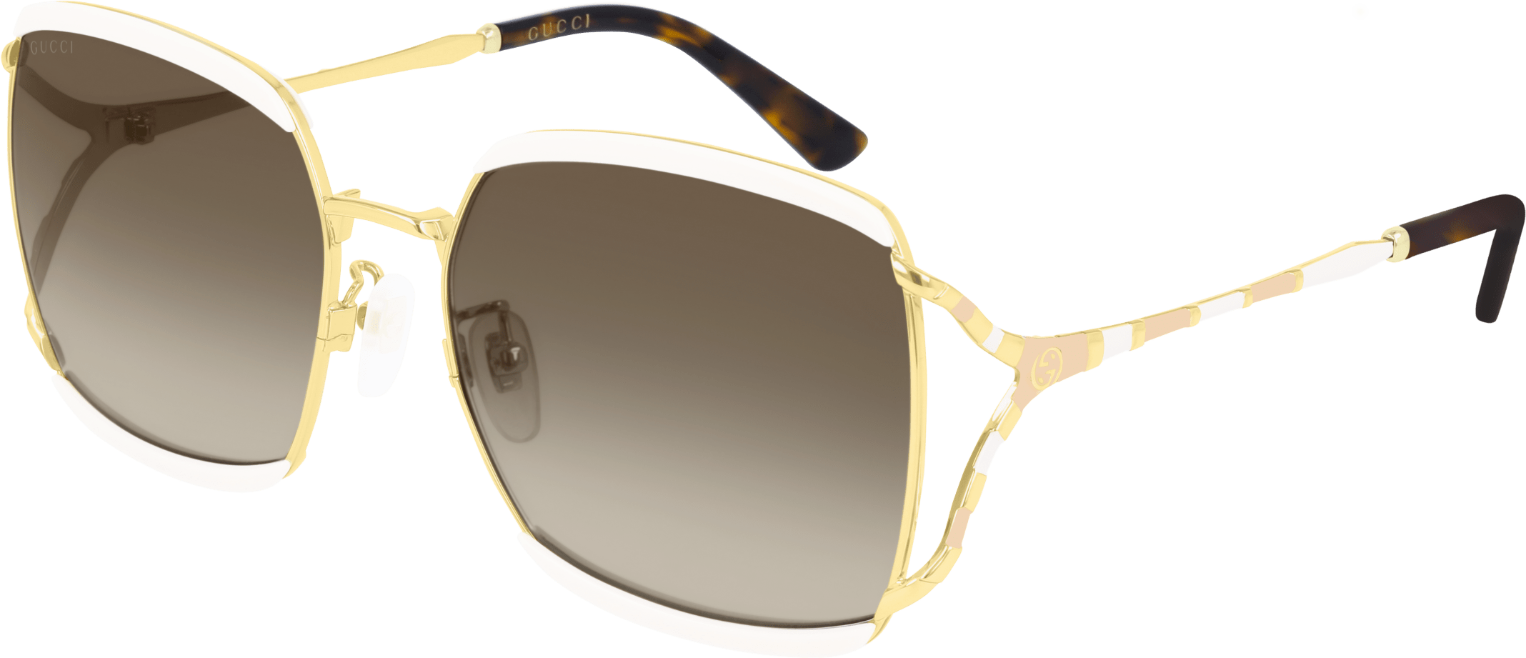 Color_Gucci GG0593SK