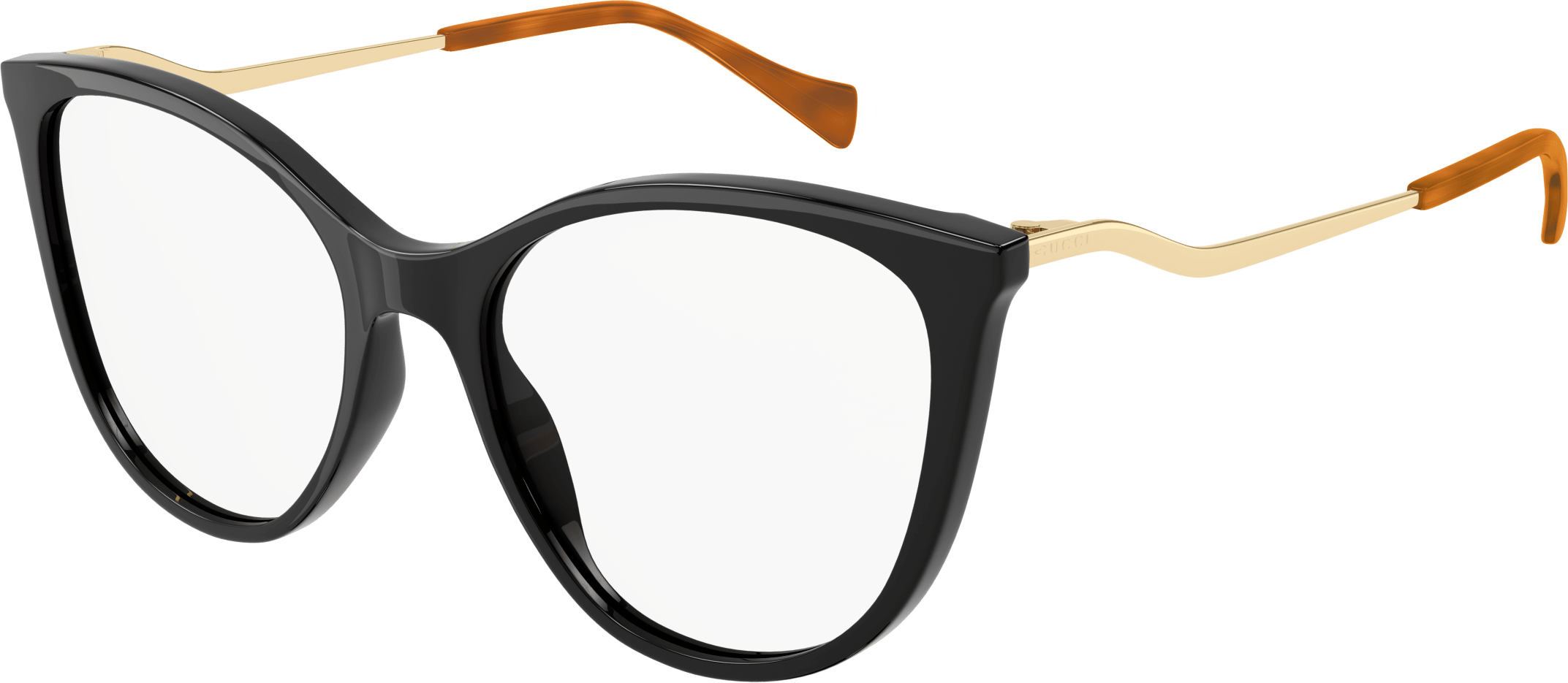 Color_GG1007O-002 - BLACK - TRANSPARENT