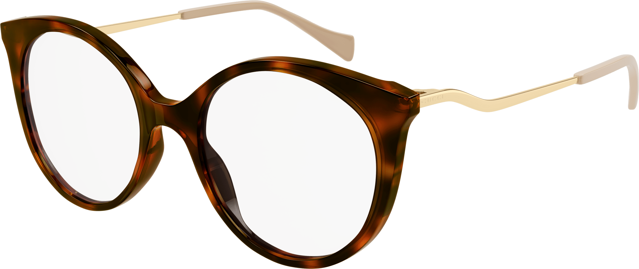 Color_Gucci Optical GG1009O