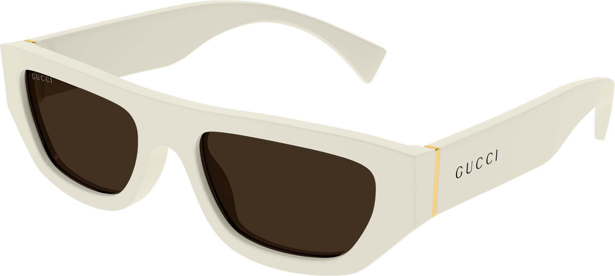 Color_GG1134S-003 - IVORY - BROWN