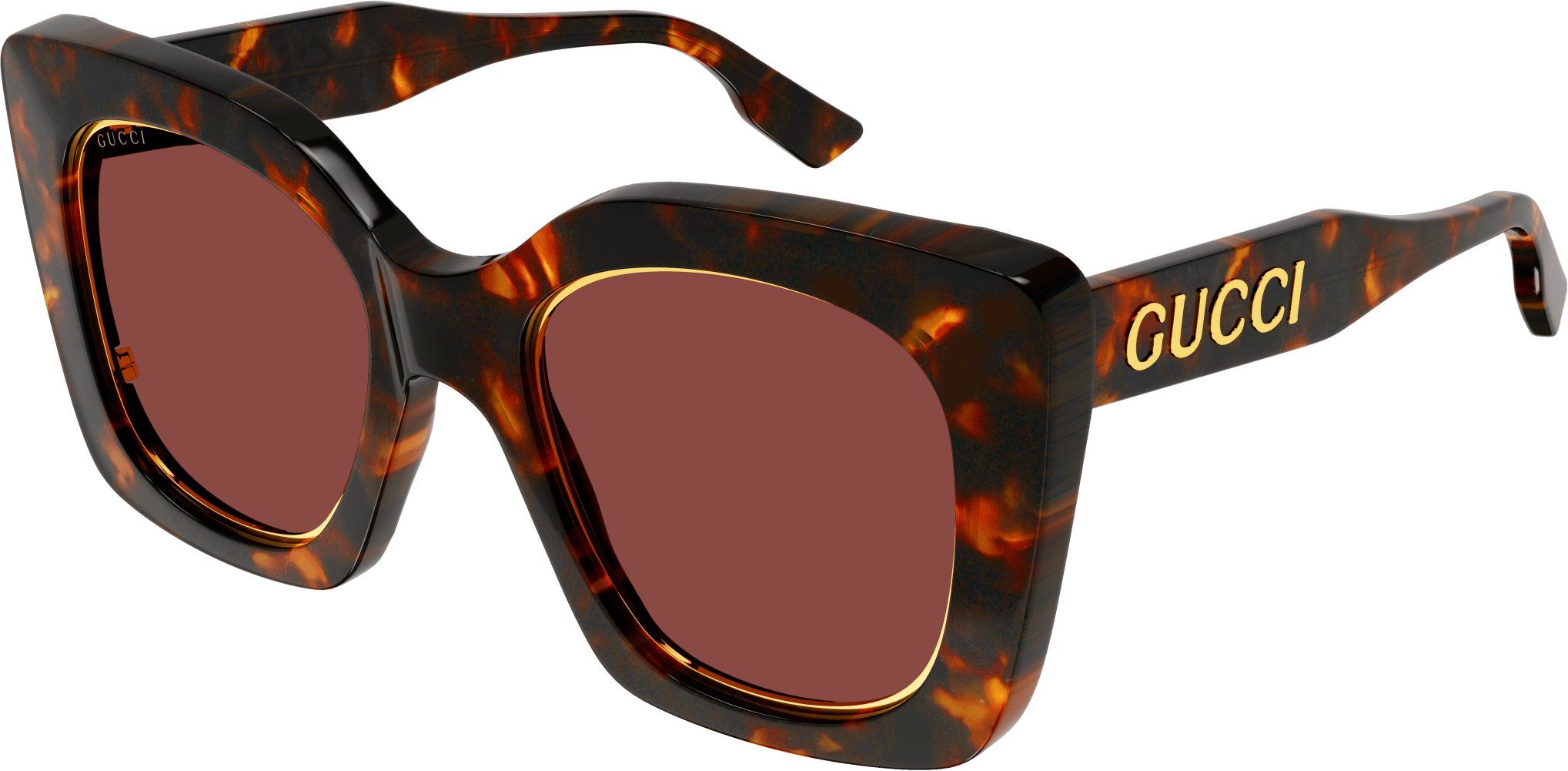 Color_GG1151S-003 - HAVANA - BROWN