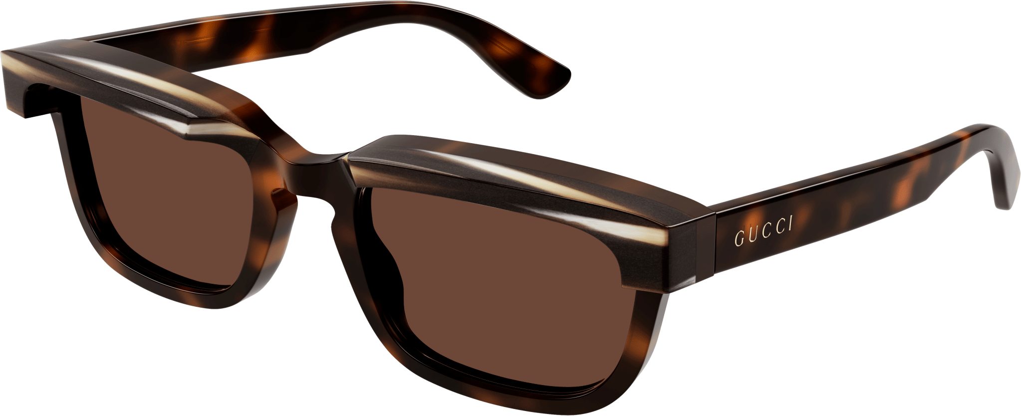 Color_GG1166S-002 - HAVANA - BROWN