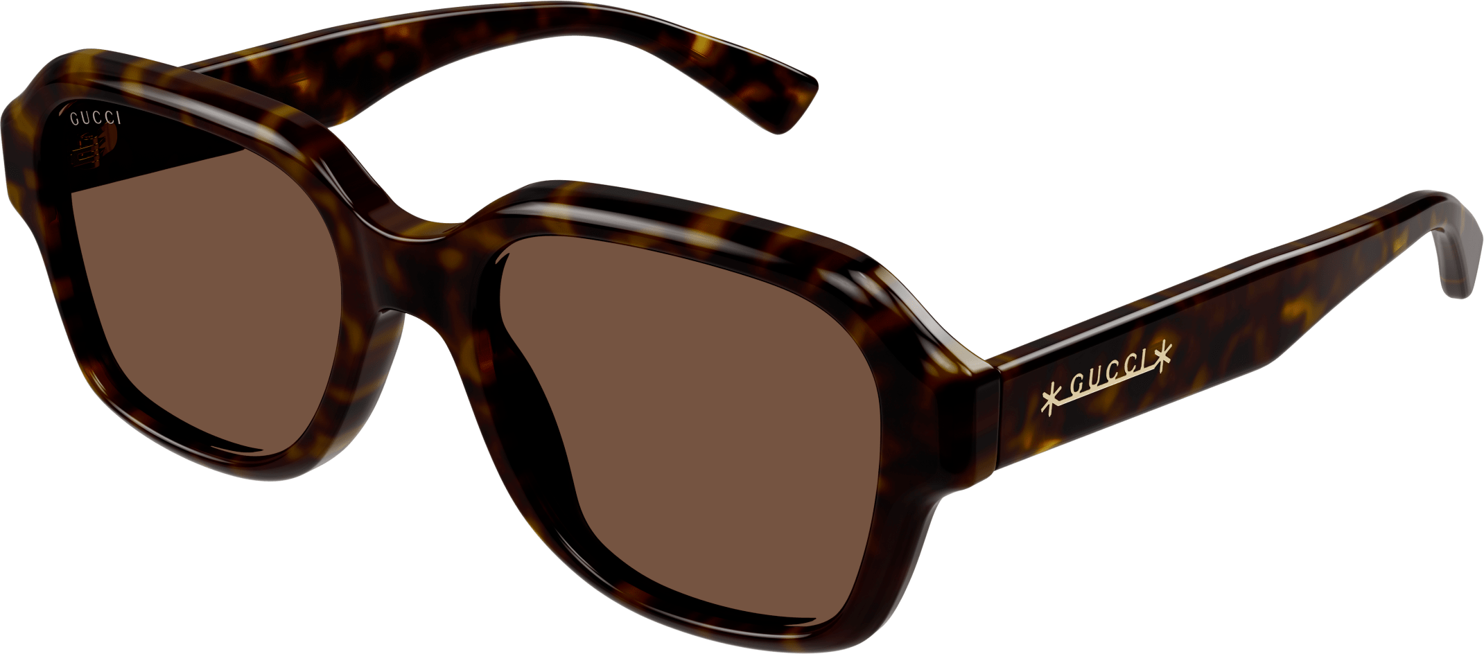 Color_GG1174S-002 - HAVANA - BROWN