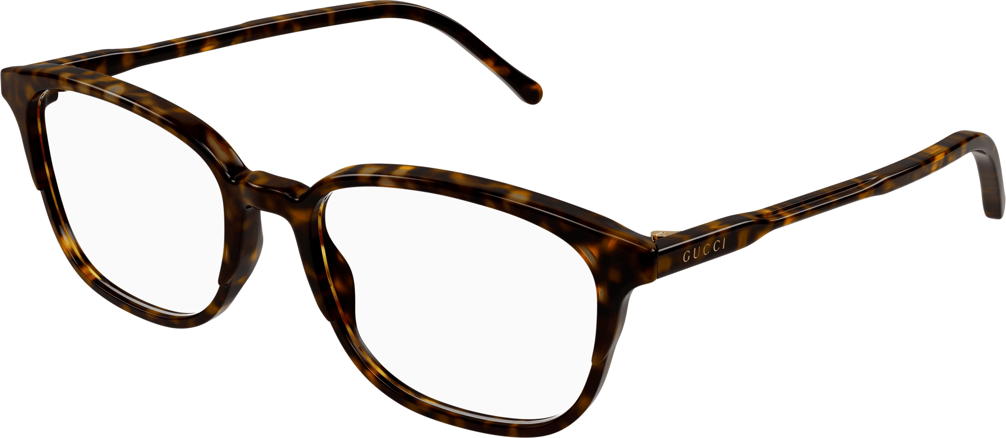 Color_GG1213OA-005 - HAVANA - TRANSPARENT