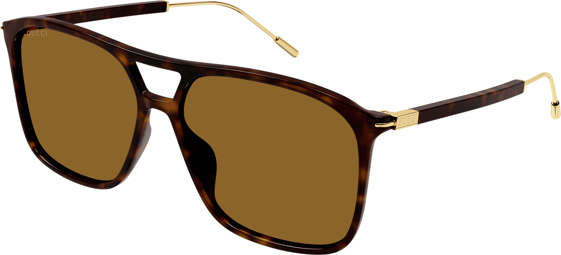 Color_GG1270S-002 - HAVANA - BROWN