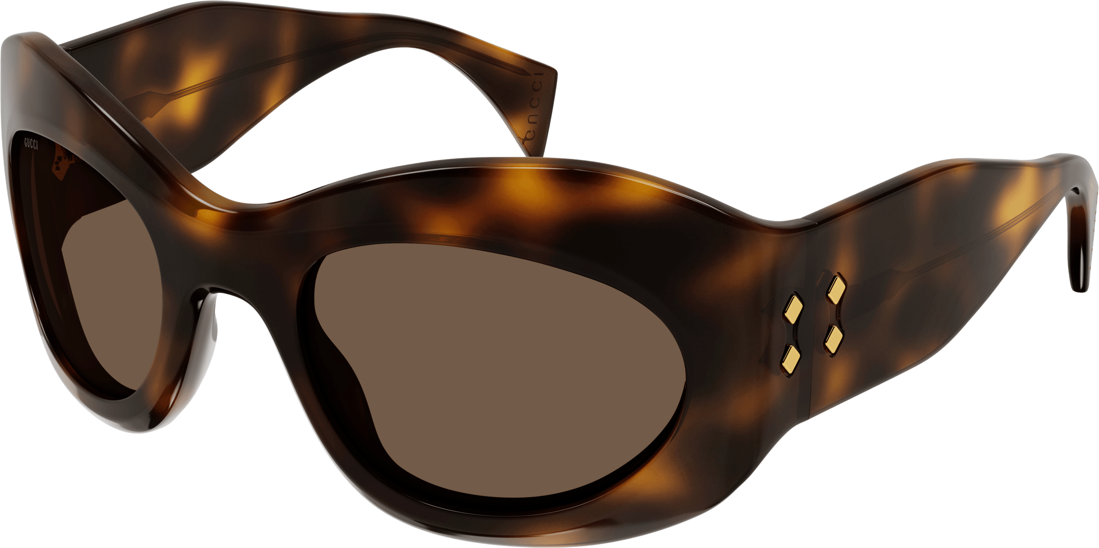 Color_GG1463S-002 - HAVANA - BROWN