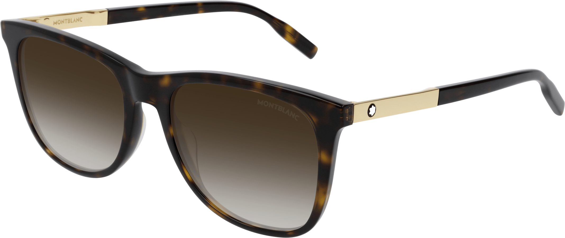 Color_MB0017S-007 - HAVANA - BROWN - GRADIENT