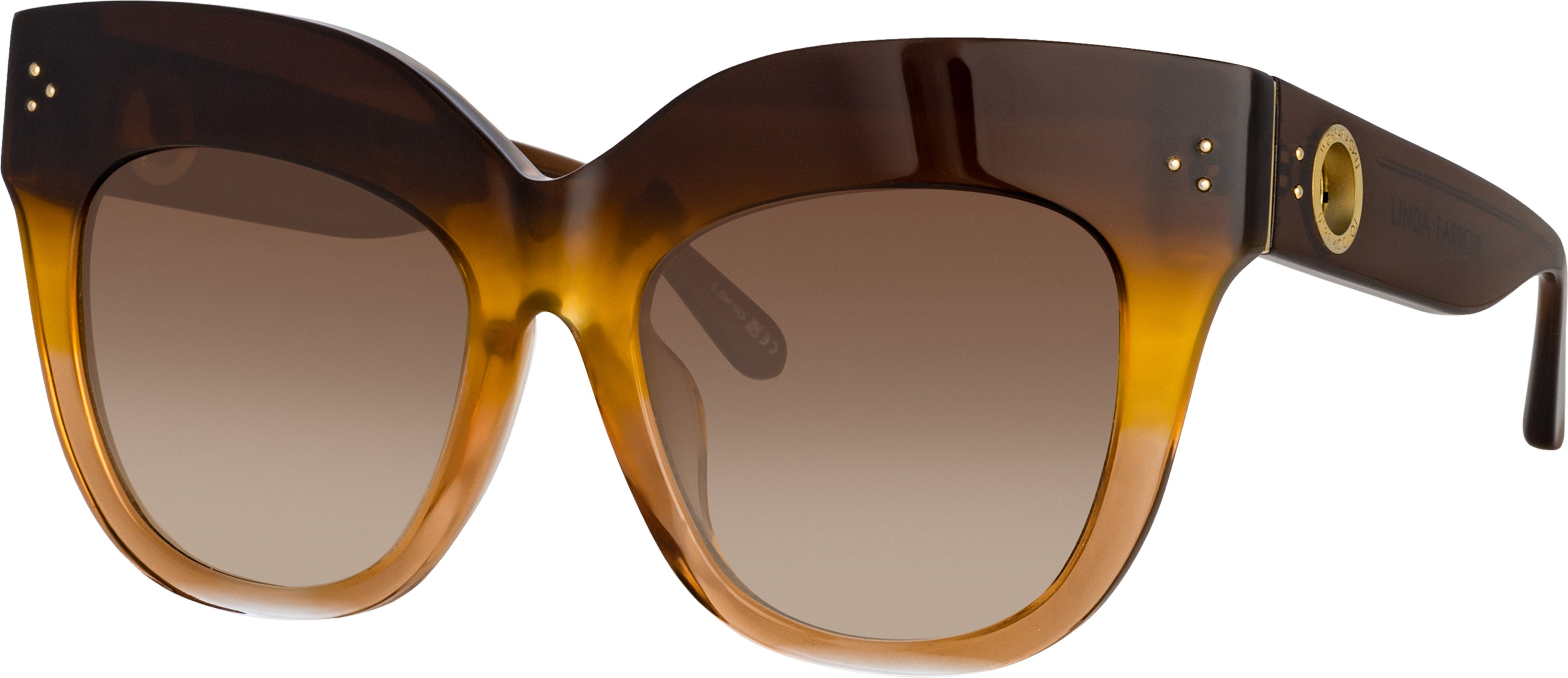 Color_LFL1049C18SUN - Dunaway Oversized Sunglasses in Brown