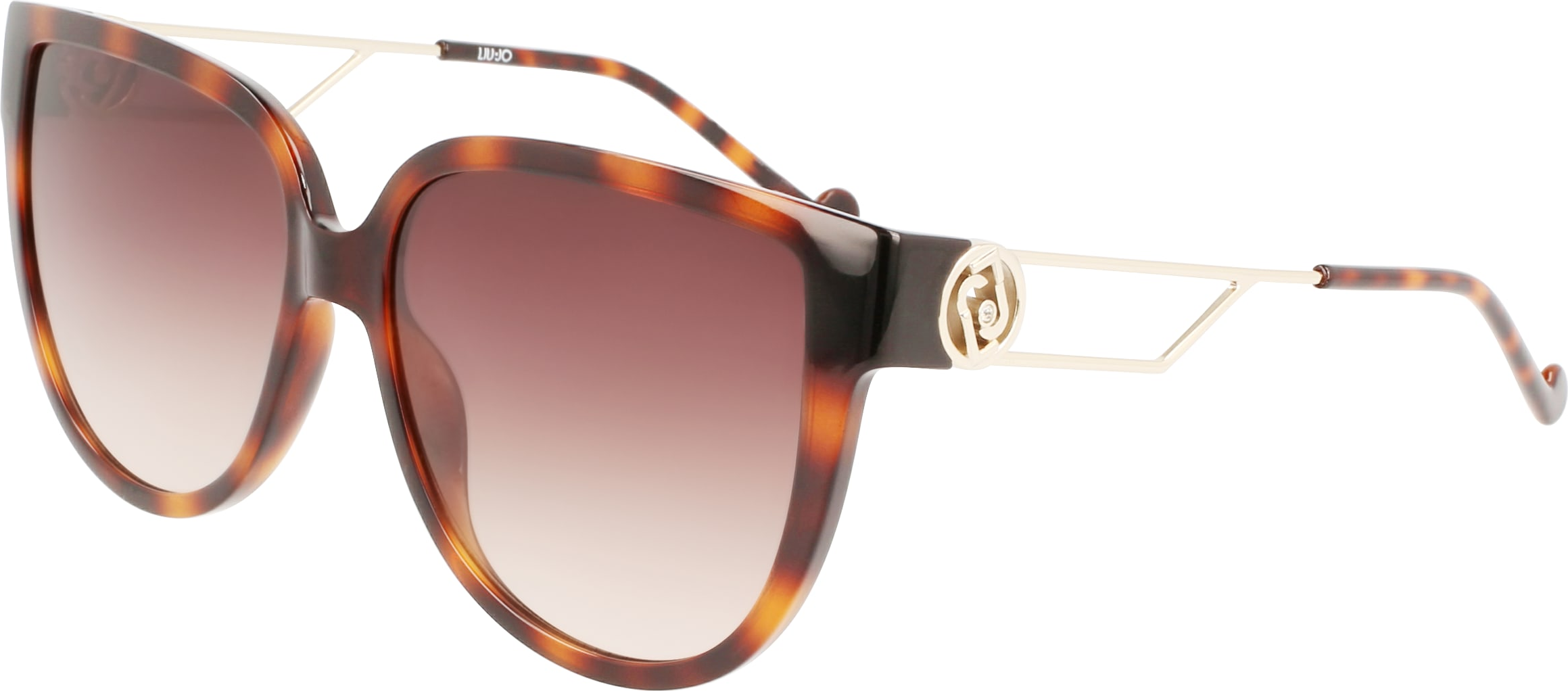 Color_(240) TORTOISE