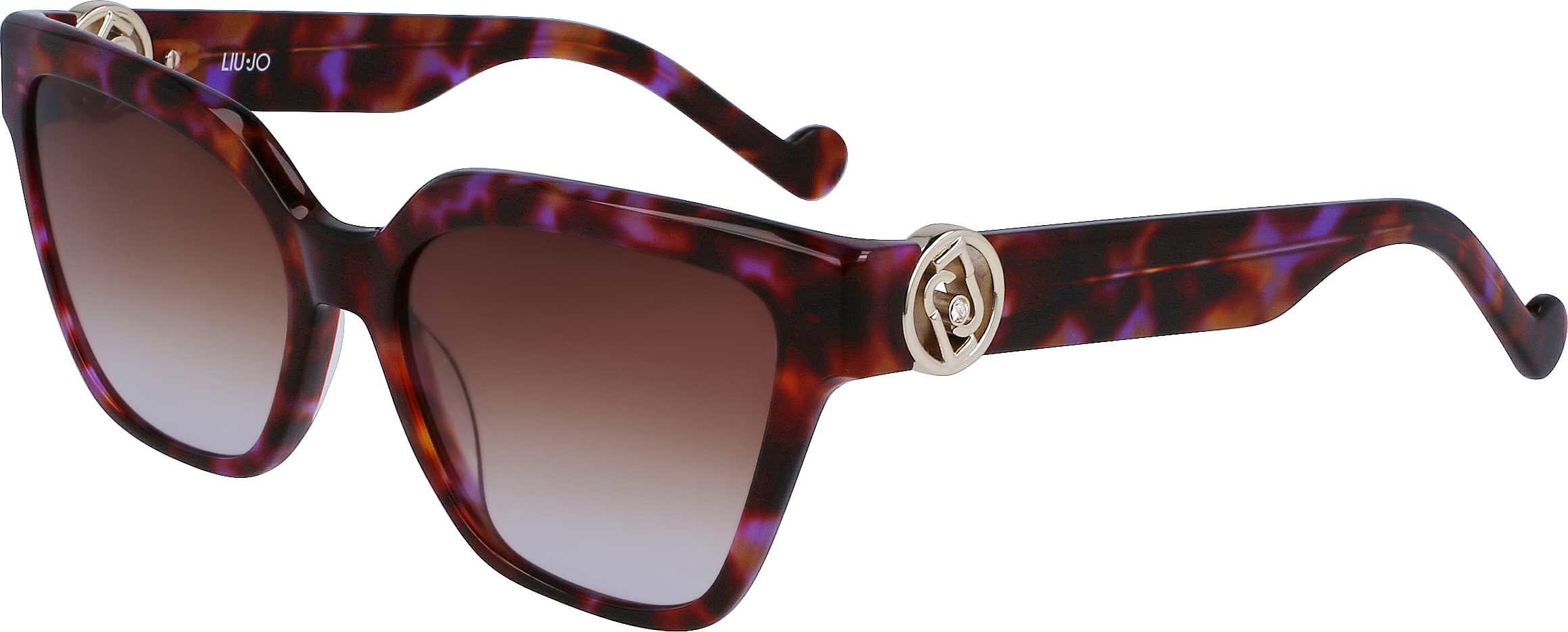 Color_(512) VIOLET TORTOISE